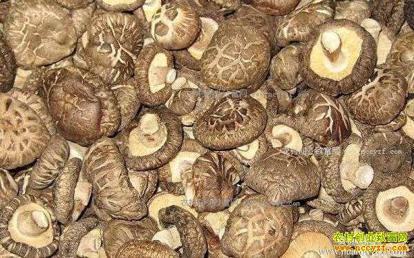 �㹽����Ǯһ�2017��2��22�������㹽�۸�����