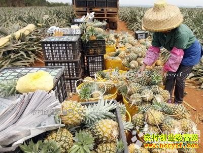 �������������չ��۸���� ÿ����2Ԫ