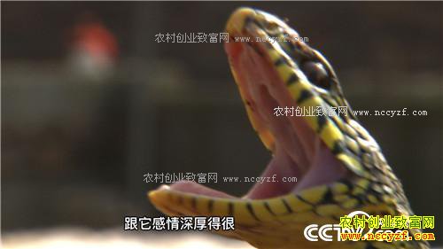 ������黹Ҫ����(20170222)