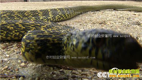 ������黹Ҫ����(20170222)