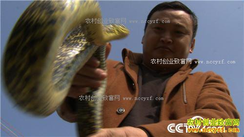 [�¸���]������ˮ����Сƽ����4�괴��ǧ��Ƹ�