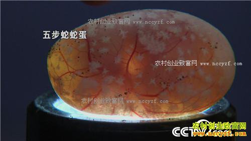 ������黹Ҫ����(20170222)