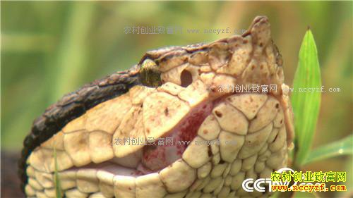 ������黹Ҫ����(20170222)