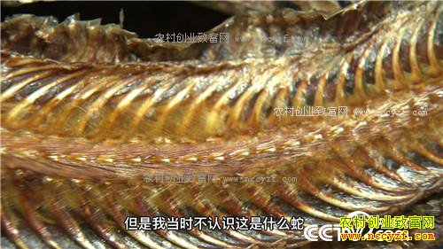 ������黹Ҫ����(20170222)