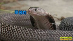 [�¸���]������ˮ����Сƽ����4�괴��ǧ��Ƹ�