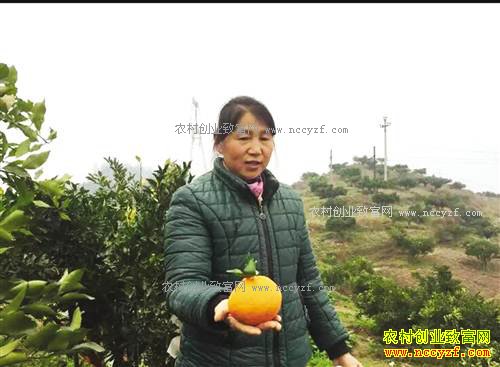 �����������Ļ���ֲ����΢������3000��3������