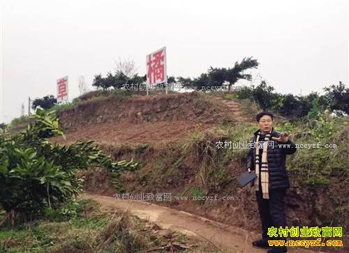 �����������Ļ���ֲ����΢������3000��3������