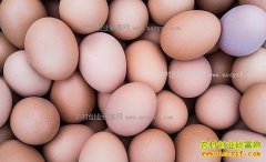 ������޼����۸�������� ���۵������������