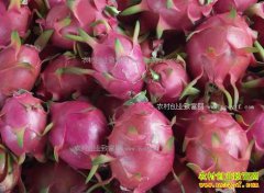 ɽ���Ͳ����������������۸�һ����ÿ������1Ԫ