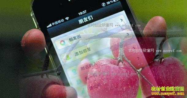 ������������Ѯ��ũ������΢������Ȧ��ƻ�����������