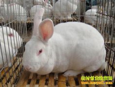 ���ö���Ǯһ�2017��2��24���������ü۸�����