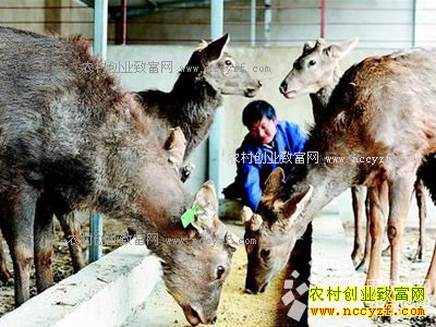 ����������������ֳ÷��¹������ƶ