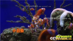 [�¸���]�����������Ǳ���ֳ��������׬����Ƹ�