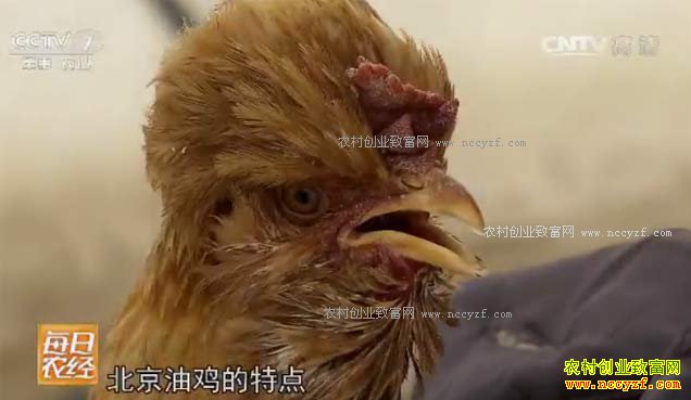 [ÿ��ũ��]�½�κ������Ⱥ������ֳ�����ͼ���Ȼ׬Ǯ��