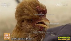 [ÿ��ũ��]�½�κ������Ⱥ����ֳ�����ͼ���Ȼ׬Ǯ��