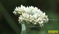 [�Ƽ�Է]��������Ů������������ĵ���Ŀ�����