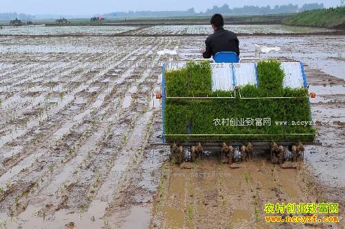 2017�����ʡ�ص������Щũ���¸���Ŀ-ˮ��������