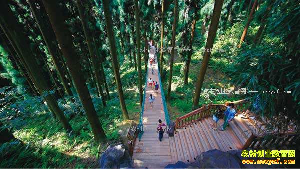 2017���Ĵ�ʡ�ص������Щũ���¸���Ŀ-ɭ�ֿ���