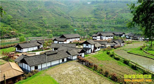 2017�����ʡ�ص������Щũ���¸���Ŀ-����ũҵ