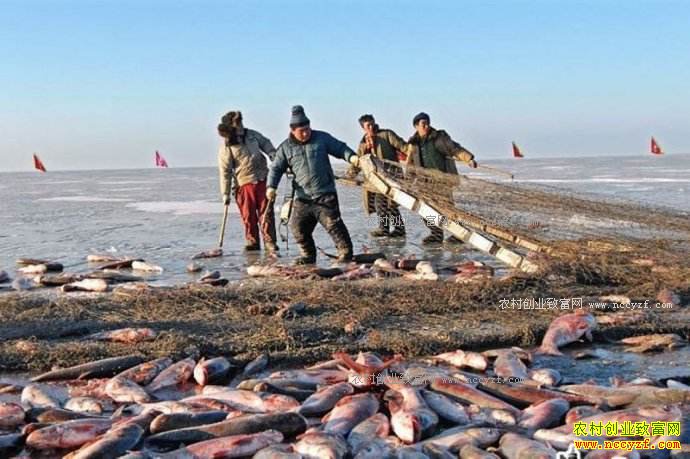 2017������ʡ�ص������Щũ���¸���Ŀ-��������