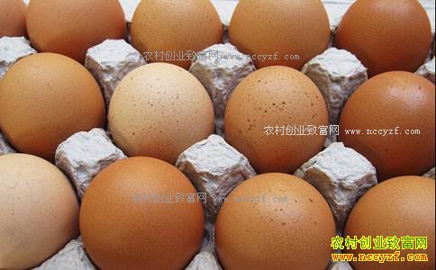 ���ϼ����۸�����Ԥ�⣺��Ӽ����۸�2.4Ԫ/��������Ȼƽƽ