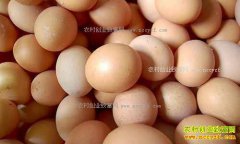 ɽ�������۸�����Ԥ�⣺�˳Ǽ����۸�ÿ��2.6Ԫ �����ȶ�