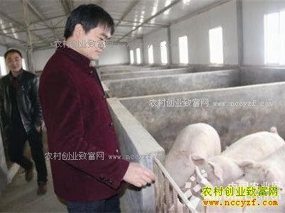 ���ݱϽڴ�����ʱ�����紴ҵ������ũ��ƶ