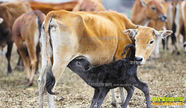 [ÿ��ũ��]�����ġ���ţ��Ч��� 20170227