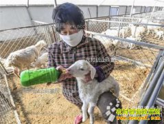 �ӱ����أ���ֳ�����ũ���¸�����Ŀ