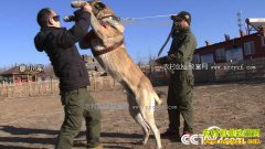 [�¸���]����������С��25��������̺��ѵȮ�Ƹ�