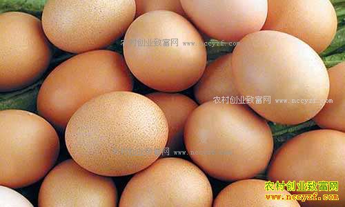 �������ݼ����۸��ȥ��ͬ�ڽ�4��