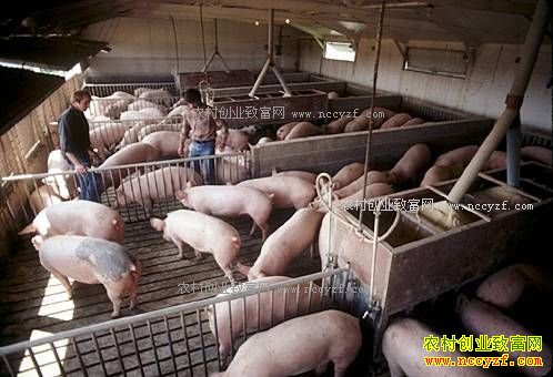 ��ũ��ѧ���̻�����������ũ�¸� ���ֵ600��Ԫ