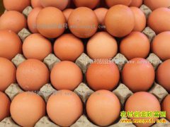 ����ᶼ�����۸������Ԫһ��