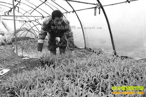 �����ɽ����ȫʱ����ֲ���׬����