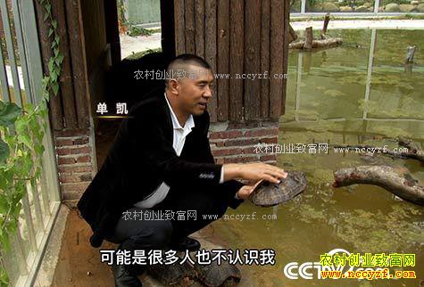  [�¸���]�㶫���ڵ�����ֳ�������ĺھ������׬Ǯ