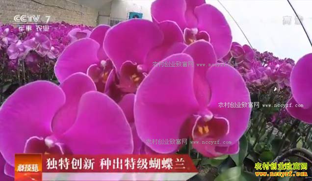 [�Ƽ�Է]���ش��� Ф˫ȫ�ֳ��ؼ�������