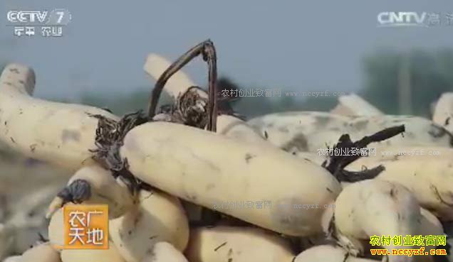 [ũ�����]�ӱ������ܾ���������ֲǳˮźĶ����1��Ԫ