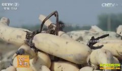 [ũ�����]�ӱ������ܾ���������ֲǳˮźĶ����1��Ԫ