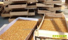 ��ͥ�����Ʒ۳漼��Ҫ��