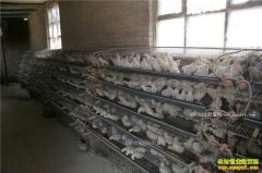 ������ֳ���ڶ� ����潭Ԭ��Ӣ�����ȡ��Ŀ����¸���