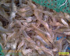 �������ݵ�ˮ������ ��Ϻ�۸���������