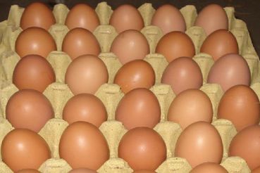 �ӱ��żҿڼ����۸�����Ԥ�� ����ʮ�����µ� �Ի��µ�