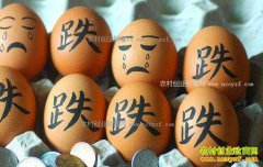 ���ɹų�弦���۸񴴽�ʮ���µ� ��������������