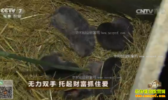 [�¸���]���Ͻ����غ���ƽ��ֳ��������Ƹ�ץס��