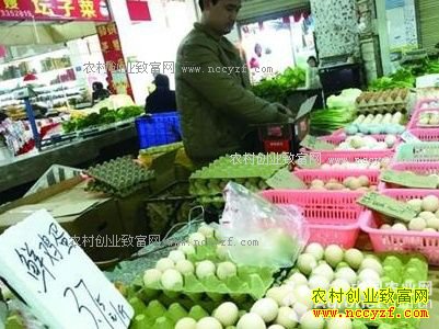 �������޼����۸������������� �е�ֻҪ3.75Ԫһ��