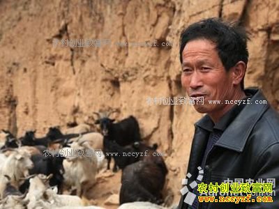 ɽ������س½�����ֳɽ����ƶ�¸�