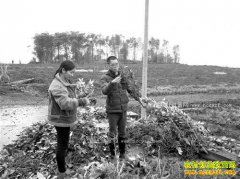 ������������� ����ͭ���Ż������Ʒｿ���޻��������ʴ�ҵ