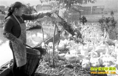 �����ϴ�Ƚ������ֳ���մ�׶�Ч���