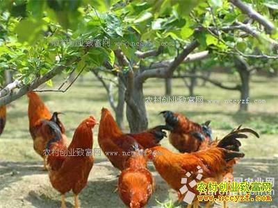 �㽭�ٰ����ƹ��������ֳ�Ʋʼ���ҵ�¸�