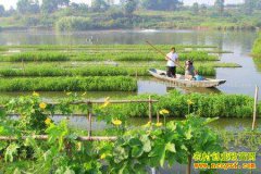 ɽ������Ѧ������������˹�������ֳģʽЧ���